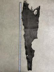 画像8: シャーク　サメ革　鮫革　シャークスキン　エナメル　ブラック (8)
