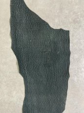 画像5: シャーク　ヌバック　グリーン　サメ革　鮫革　シャークスキン (5)