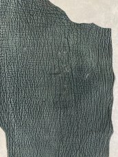 画像4: シャーク　ヌバック　グリーン　サメ革　鮫革　シャークスキン (4)
