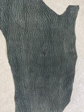 画像7: シャーク　ヌバック　グリーン　サメ革　鮫革　シャークスキン (7)