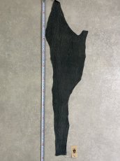 画像8: シャーク　ヌバック　グリーン　サメ革　鮫革　シャークスキン (8)