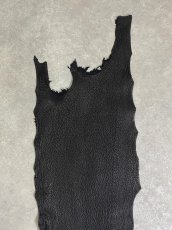 画像4: シャーク　ブラック　鮫革　シャークスキン (4)