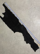 画像7: シャーク　ブラック　鮫革　シャークスキン (7)