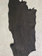画像3: シャーク　ブラック　鮫革　シャークスキン (3)