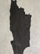 画像4: シャーク　ブラック　鮫革　シャークスキン (4)