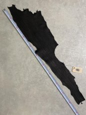 画像8: シャーク　ブラック　鮫革　シャークスキン (8)