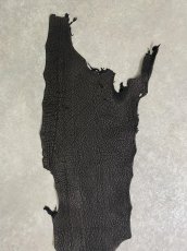 画像4: シャーク　ブラック　鮫革　シャークスキン (4)