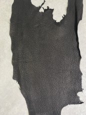 画像3: シャーク　ブラック　鮫革　シャークスキン (3)