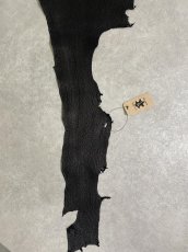 画像6: シャーク　ブラック　鮫革　シャークスキン (6)