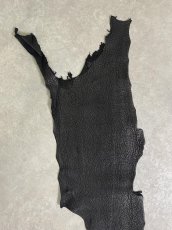 画像4: シャーク　ブラック　鮫革　シャークスキン (4)