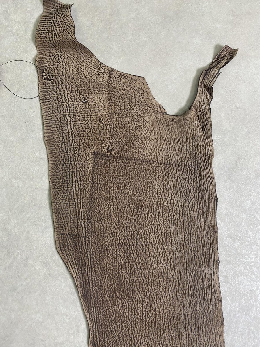 画像4: シャーク　ヌバック　ブラウン  鮫革 (4)