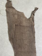 画像4: シャーク　ヌバック　ブラウン  鮫革 (4)