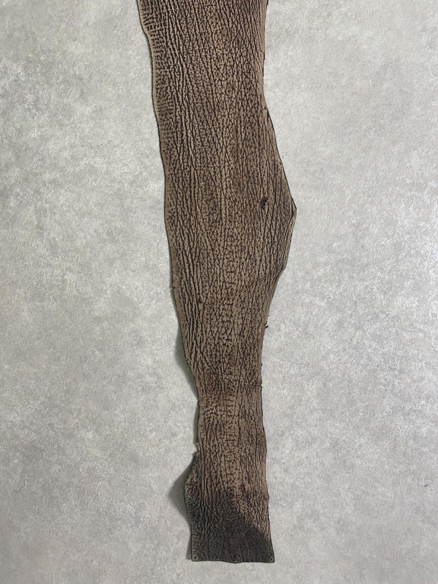 画像5: シャーク　ヌバック　ブラウン  鮫革 (5)