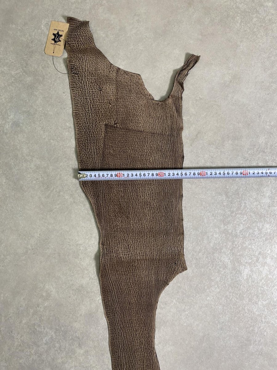 画像6: シャーク　ヌバック　ブラウン  鮫革 (6)