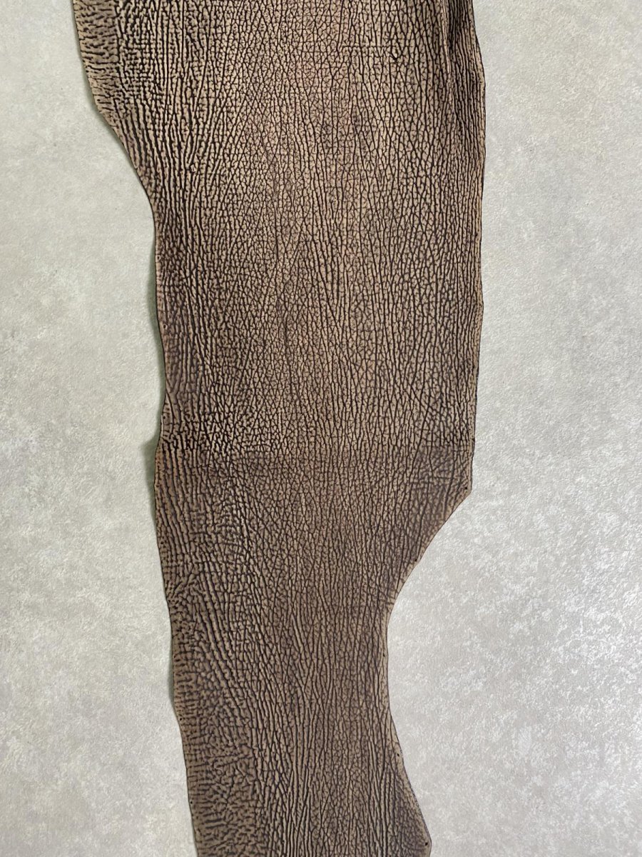 画像5: シャーク　ヌバック　ブラウン  鮫革 (5)