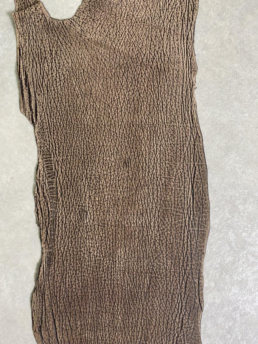 画像2: シャーク　ヌバック　ブラウン  鮫革 (2)