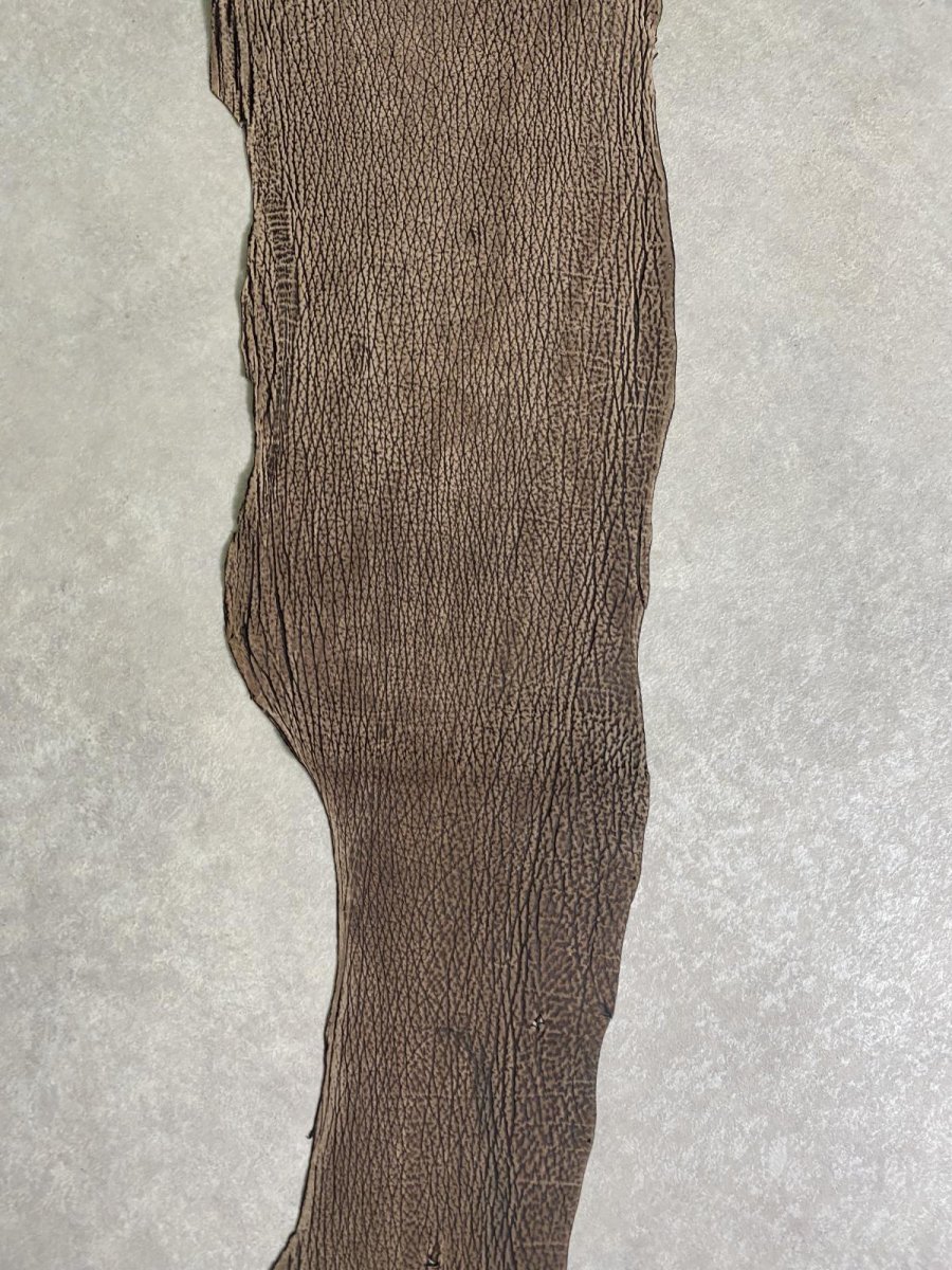 画像4: シャーク　ヌバック　ブラウン  鮫革 (4)