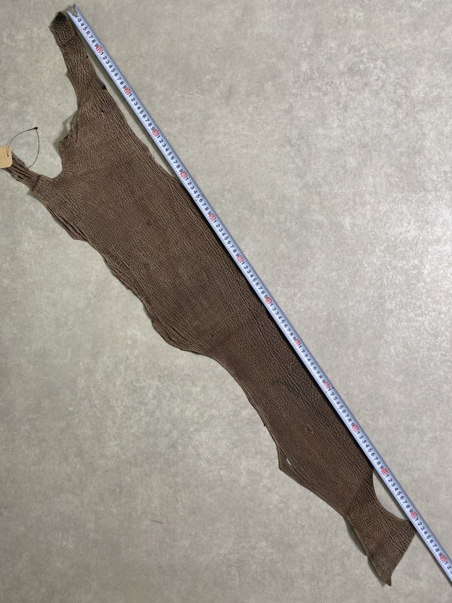 画像7: シャーク　ヌバック　ブラウン  鮫革 (7)