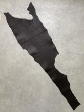 画像1: シャーク　ブラウン　サメ革　鮫革　シャークスキン (1)