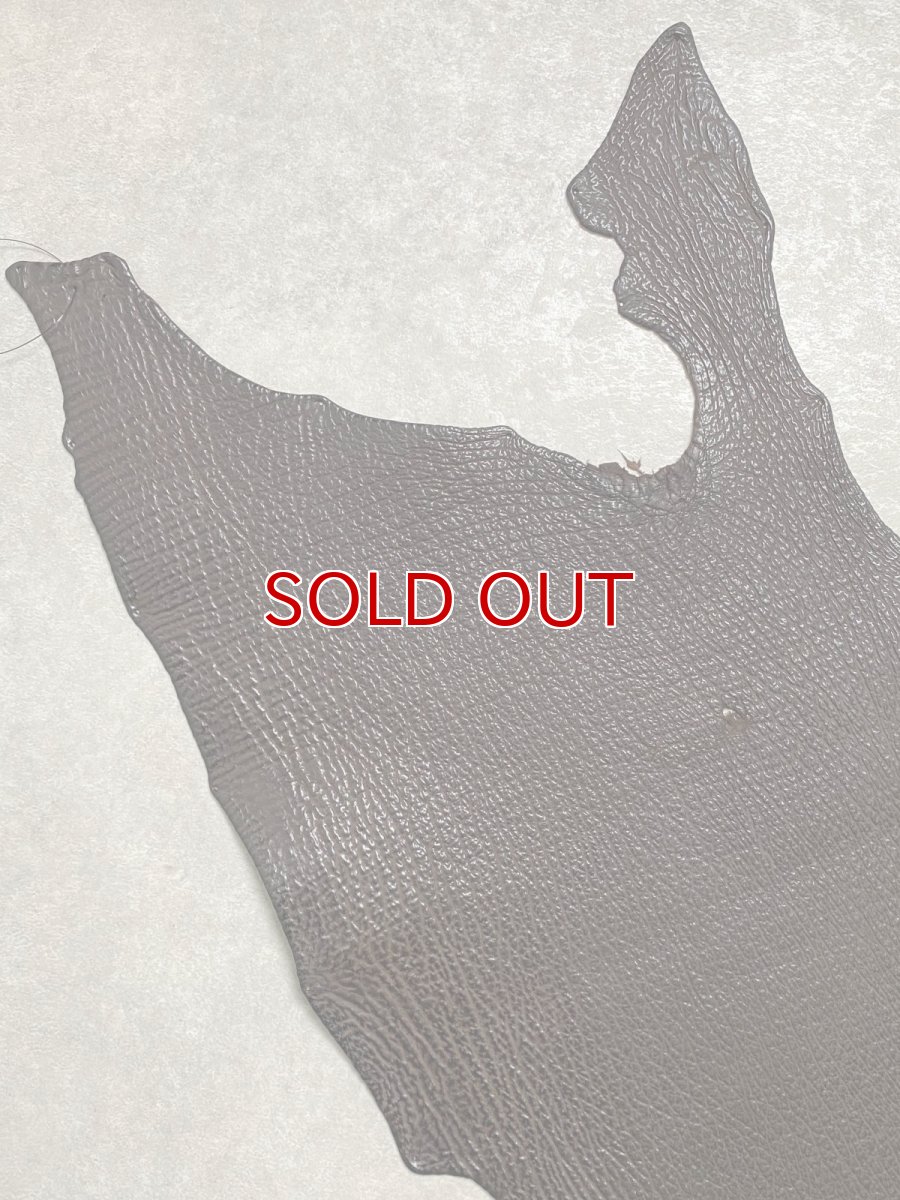 画像2: シャーク　ブラウン　サメ革　鮫革　シャークスキン (2)