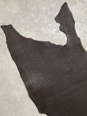 画像2: シャーク　ブラウン　サメ革　鮫革　シャークスキン (2)