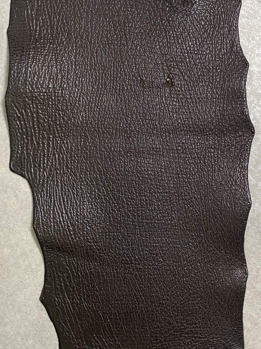 画像3: シャーク　ブラウン　サメ革　鮫革　シャークスキン (3)