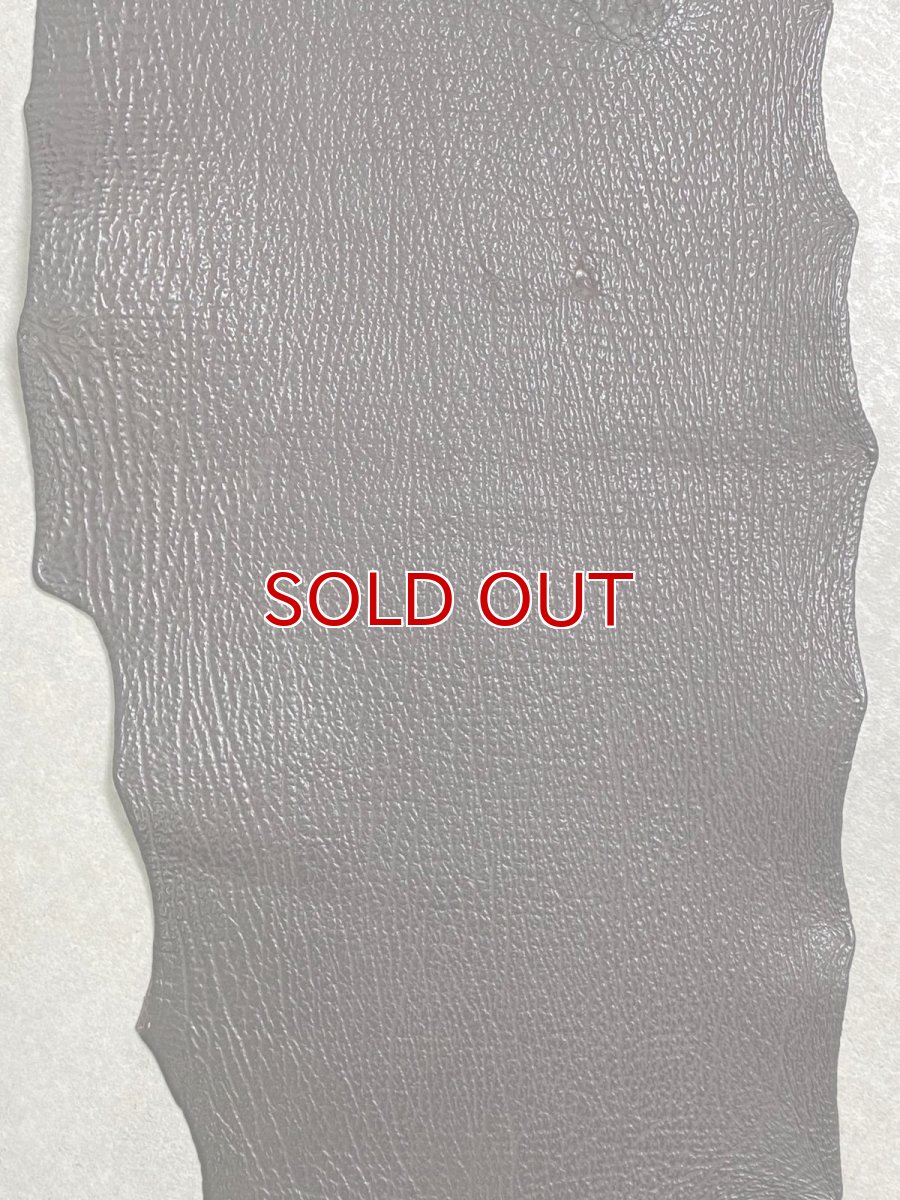 画像3: シャーク　ブラウン　サメ革　鮫革　シャークスキン (3)