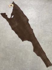 画像8: シャーク　ブラウン　サメ革　鮫革　シャークスキン (8)