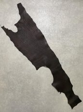 画像1: シャーク　ブラウン　サメ革　鮫革　シャークスキン (1)