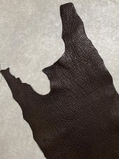 画像2: シャーク　ブラウン　サメ革　鮫革　シャークスキン (2)