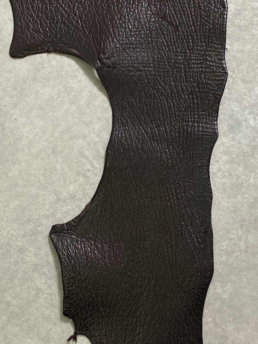 画像4: シャーク　ブラウン　サメ革　鮫革　シャークスキン (4)