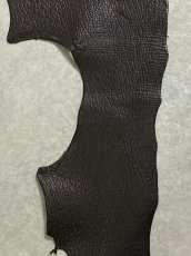 画像4: シャーク　ブラウン　サメ革　鮫革　シャークスキン (4)