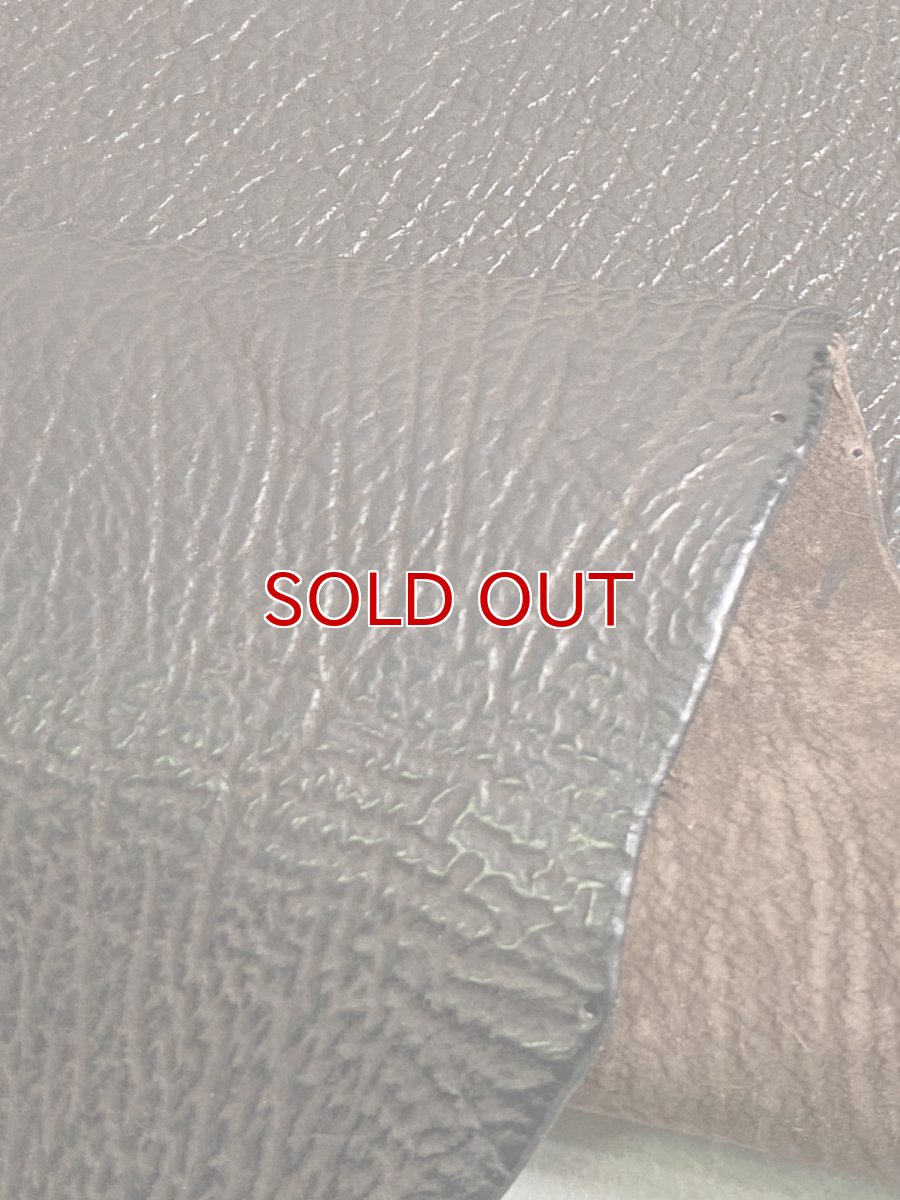 画像6: シャーク　ブラウン　サメ革　鮫革　シャークスキン (6)