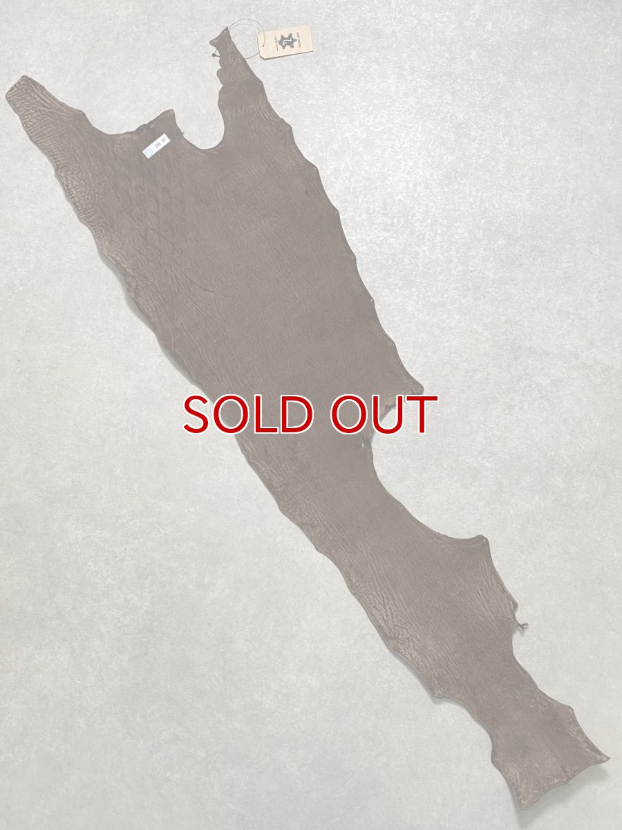 画像9: シャーク　ブラウン　サメ革　鮫革　シャークスキン (9)