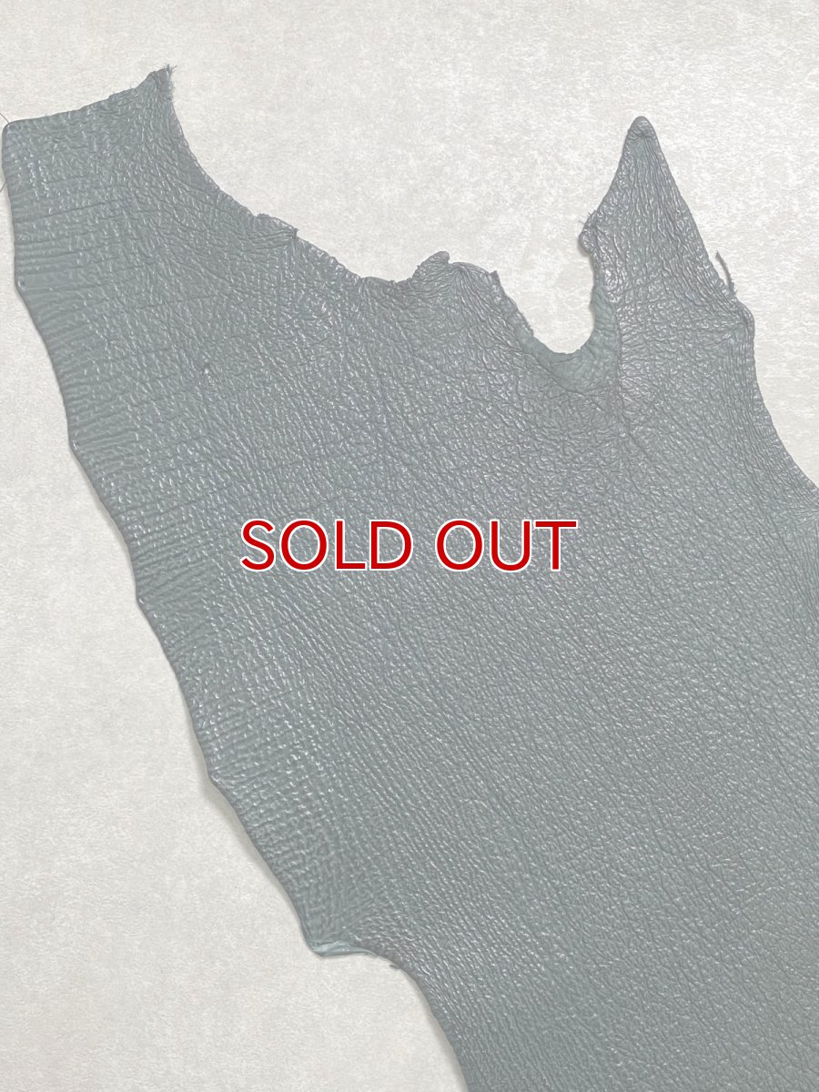 画像2: シャーク　ダークグリーン　サメ革　鮫革　シャークスキン (2)