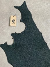 画像2: シャーク　ダークグリーン　サメ革　鮫革　シャークスキン (2)