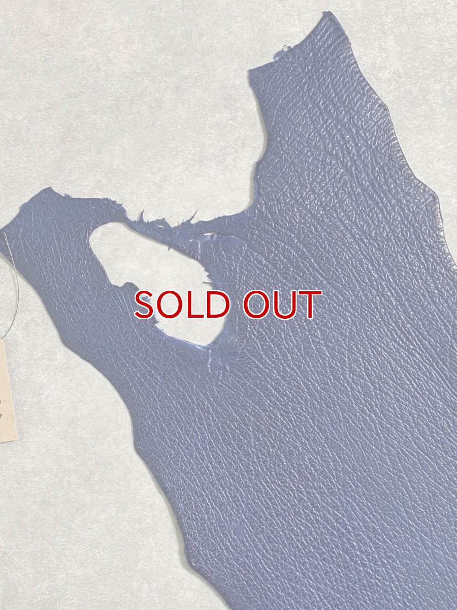 画像2: シャーク　ブルー　サメ革　鮫革　シャークスキン (2)