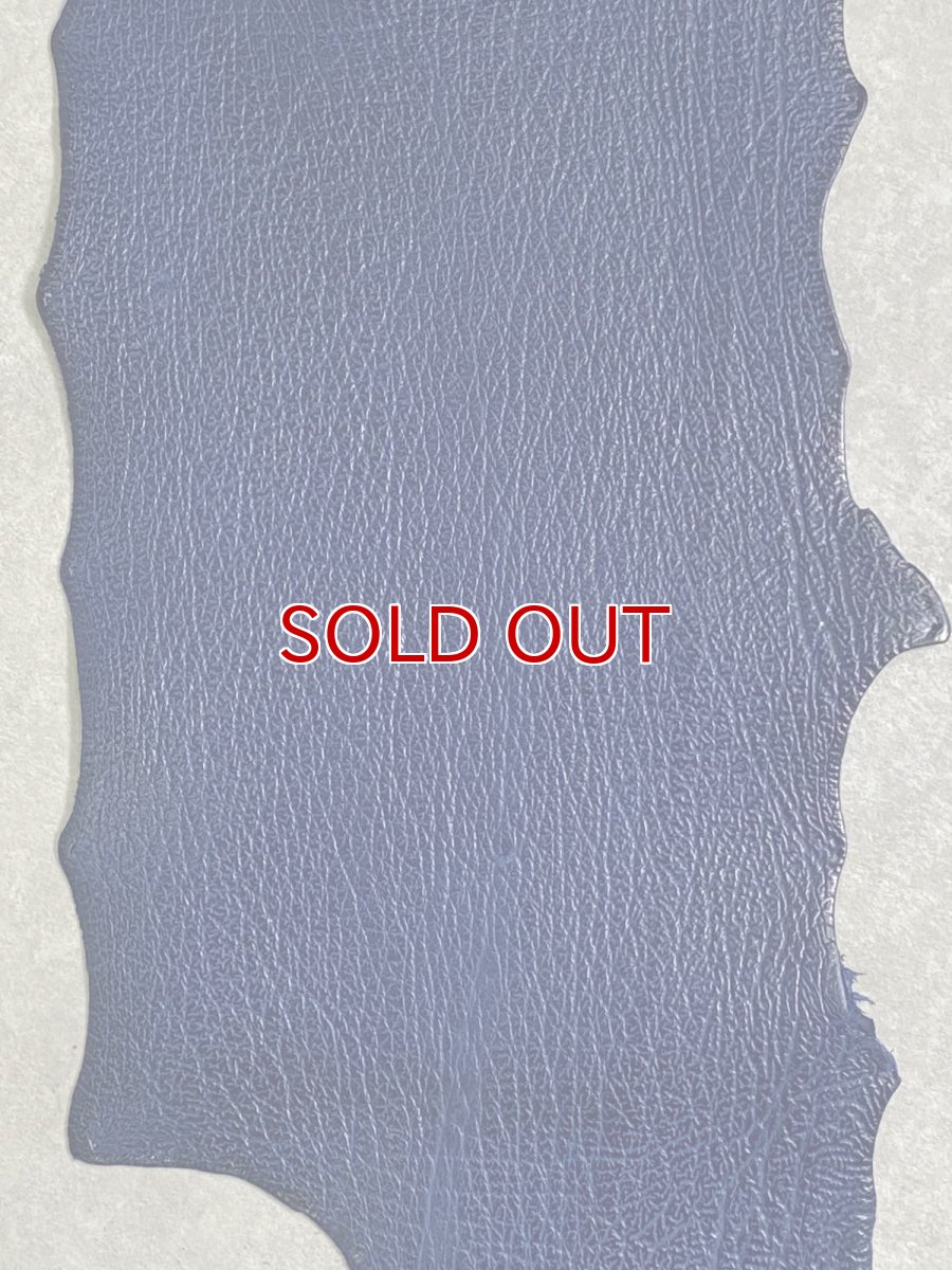 画像3: シャーク　ブルー　サメ革　鮫革　シャークスキン (3)