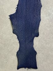 画像4: シャーク　ブルー　サメ革　鮫革　シャークスキン (4)