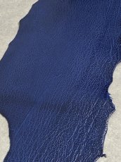 画像5: シャーク　ブルー　サメ革　鮫革　シャークスキン (5)