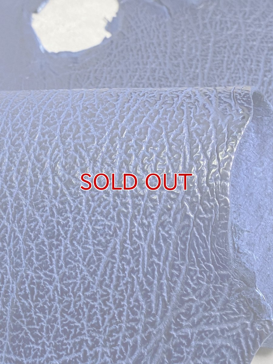 画像6: シャーク　ブルー　サメ革　鮫革　シャークスキン (6)