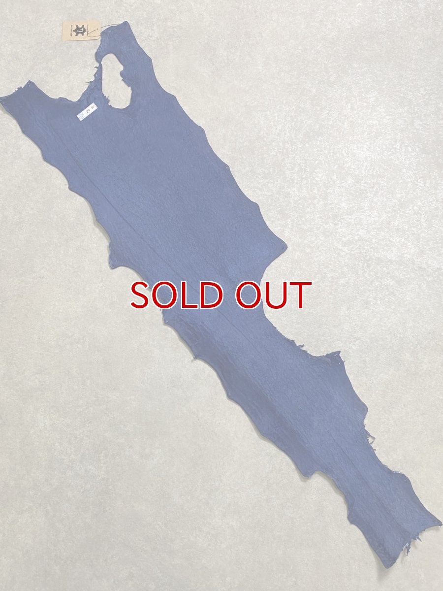 画像7: シャーク　ブルー　サメ革　鮫革　シャークスキン (7)