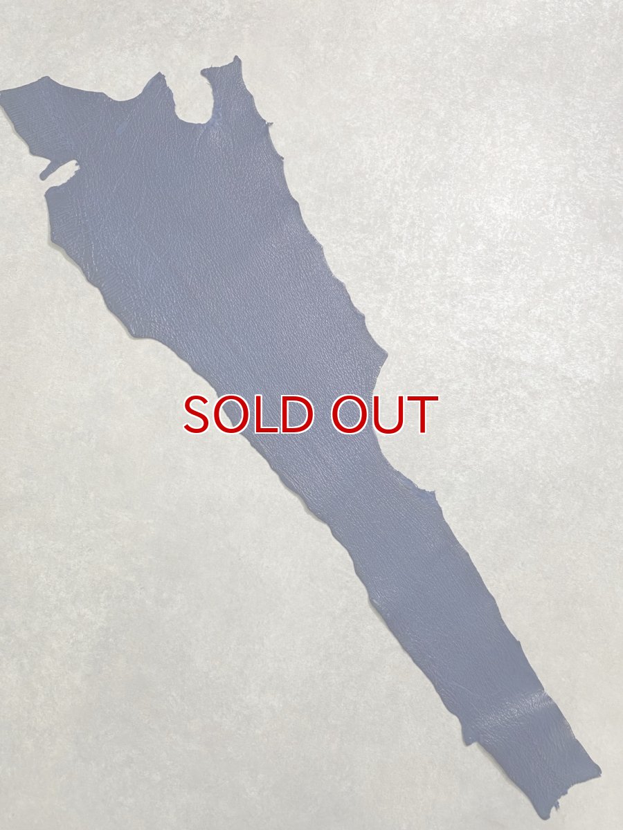 画像1: シャーク　ブルー　サメ革　鮫革　シャークスキン (1)