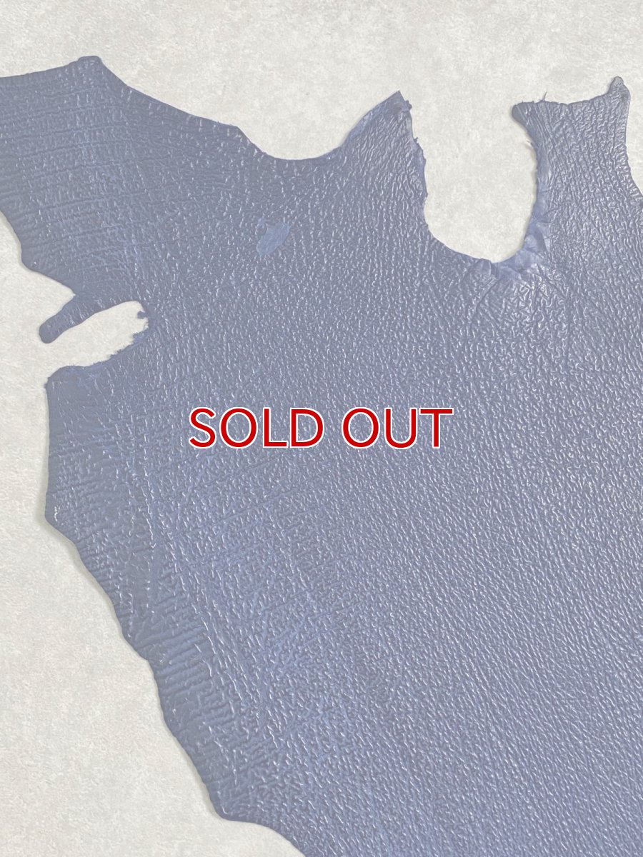 画像2: シャーク　ブルー　サメ革　鮫革　シャークスキン (2)