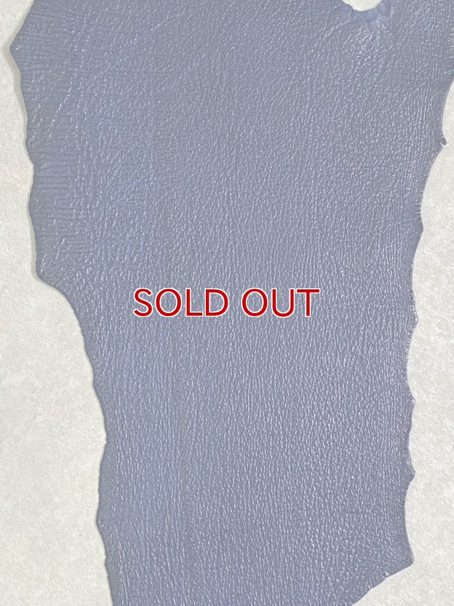 画像3: シャーク　ブルー　サメ革　鮫革　シャークスキン (3)