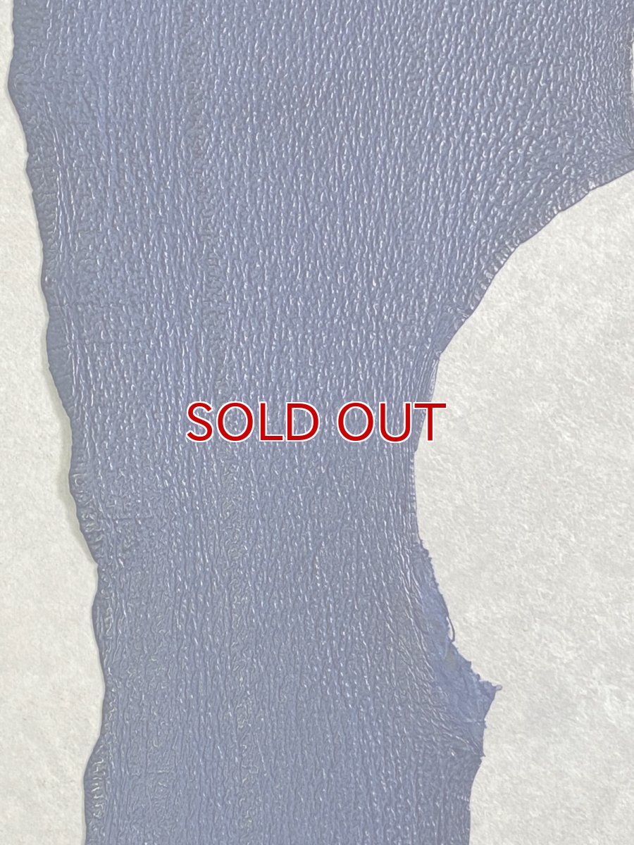 画像4: シャーク　ブルー　サメ革　鮫革　シャークスキン (4)