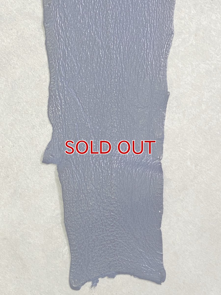 画像5: シャーク　ブルー　サメ革　鮫革　シャークスキン (5)