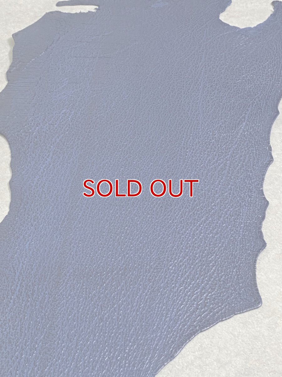 画像6: シャーク　ブルー　サメ革　鮫革　シャークスキン (6)