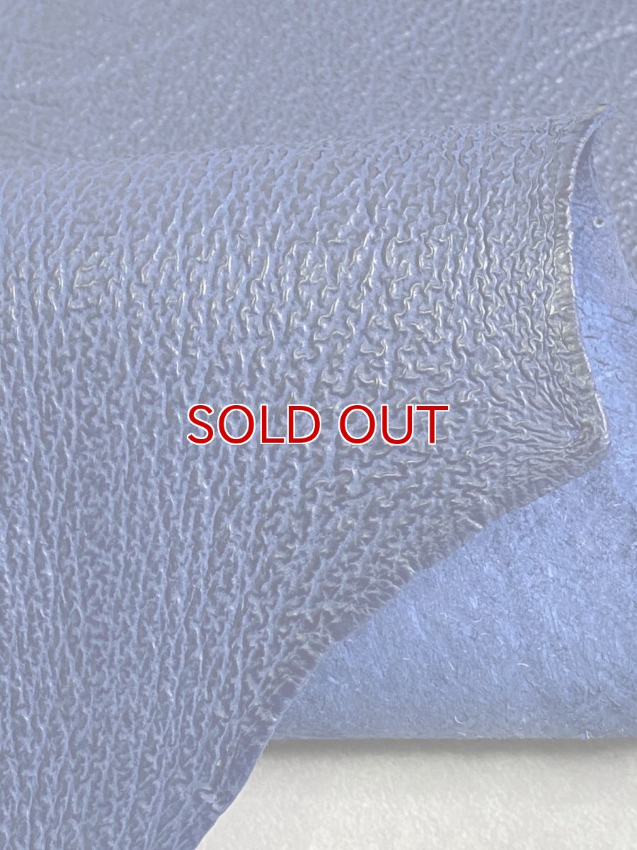 画像7: シャーク　ブルー　サメ革　鮫革　シャークスキン (7)