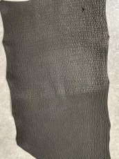 画像7: シャーク　ブラック1級　サメ革　鮫革　シャークスキン (7)